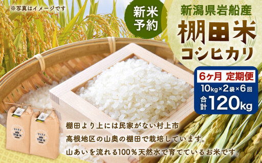 【新米受付・令和8年産米】【定期便：6ヶ月連続でお届け】新潟県村上市岩船産 棚田米コシヒカリ 20kg×6ヶ月　1011012N　定期便 毎月 新米予約 お米 白米 こしひかり 精米 村上市