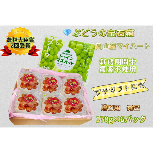 【8月中旬から発送】ぶどう 2026年  マイハート 小分け 秀品 粒だけ 約170g 6パック 岡山 果物 フルーツ