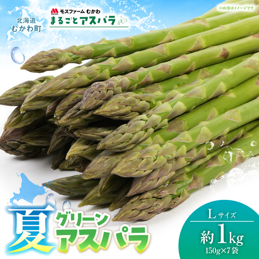 夏アスパラLサイズ 約1kg（150g×7袋入） MKWM005 