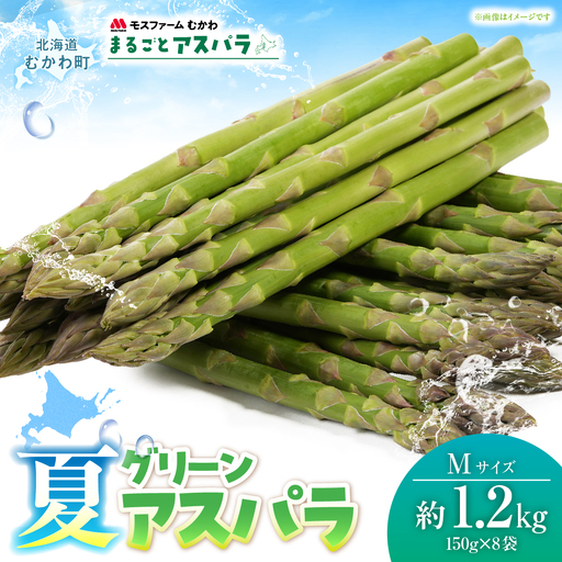 夏アスパラMサイズ 約1.2kg（150g×8袋入） MKWM006 