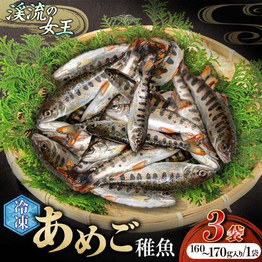 【無投薬 内臓処理済み】【希少稚魚】あめご（稚魚） 50匹前後（約500g） ／Eay-08 アメゴ 川魚