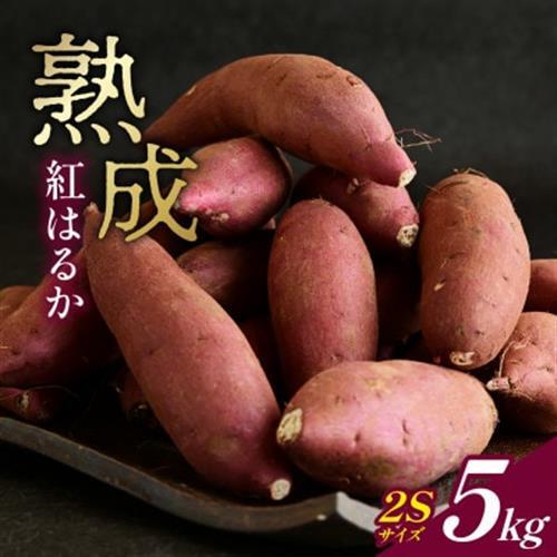 産地直送!生さつまいも「熟成紅はるか」調理しやすい小さめサイズ5kg【1748778】