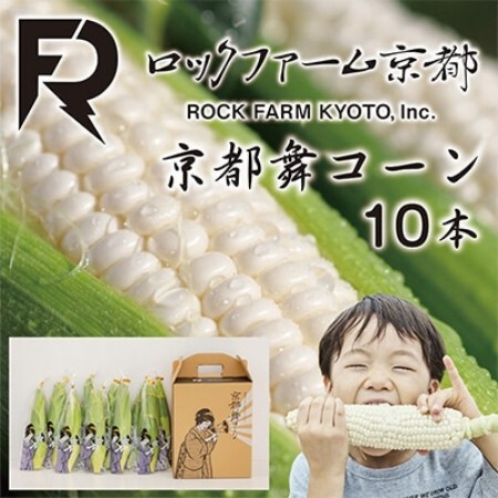【先行受付】ミシュラン店多数採用!京都産 白いとうもろこし 京都舞コーン 10本 朝採れ【配送不可地域：離島・北海道・沖縄県・東北・九州】【1139225】