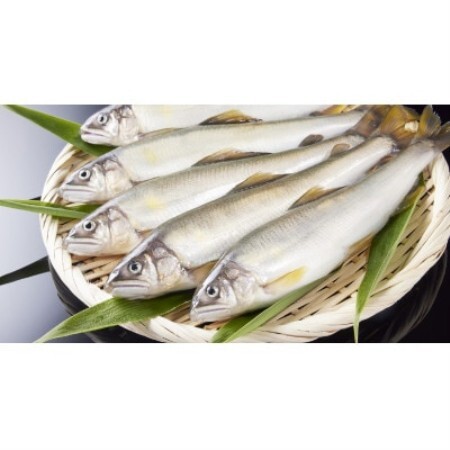 冷凍子持鮎　約2kg【約1kg(10～13尾)×2P】【配送不可地域：離島】【1746018】