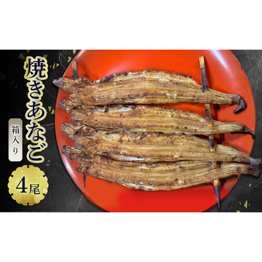 焼きあなご（箱入り）4尾