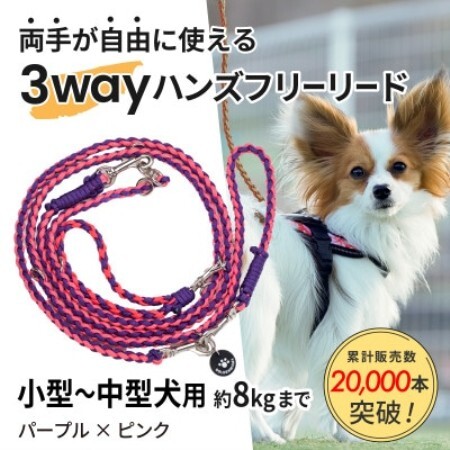 [犬用]3WAYハンズフリーリード(小型〜中型犬用)パープル×ピンク[ゴールデンママ][配送不可地域:離島・沖縄県]