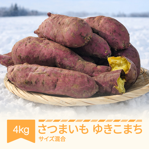 先行予約 さつまいも ゆきこまち 約4kg 令和8年 no-spykx4