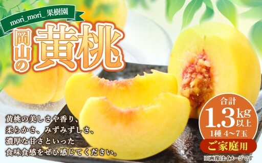 [ ご家庭用 ] 岡山の黄桃 約1.3kg以上 もも 桃 モモ 黄桃 くだもの 果物 フルーツ 果実 果汁 果肉 岡山県産 旬 [ 2026年8月上旬〜9月上旬迄順次発送予定 ]