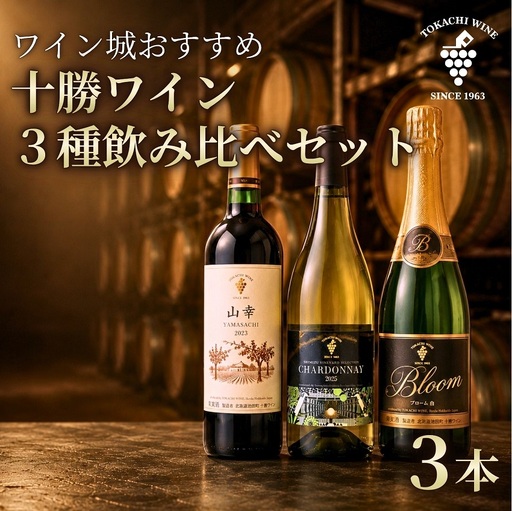 【ふるさと納税】十勝ワイン いけだワイン城おすすめ 3種飲み比べセット 赤ワイン 山幸 白ワイン シャルドネ スパークリング ブルーム白 北海道ワイン 北海道 池田町