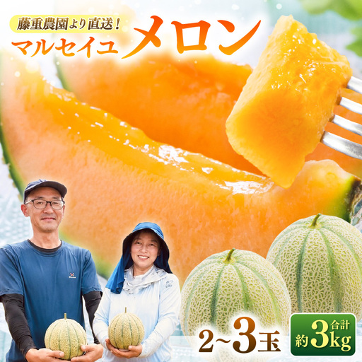 [先行予約]藤重農園自慢のマルセイユメロン 2〜3玉(合計約3kg)※2027年6月中旬以降順次発送 [aw083-a005]