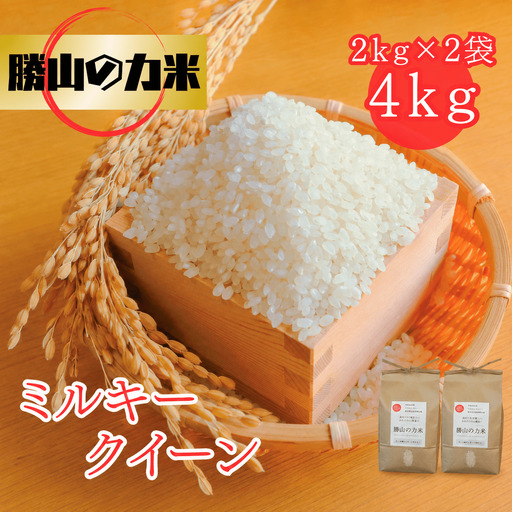 勝山の力米 ミルキークィーン 無洗米 2kg×2袋 ｜ 白米 米 お米 こめ コメ ライス ご飯 ごはん 贈り物 国産 仕送り お取り寄せ 産地直送 農家直送 数量限定 人気 おすすめ 【mwgk002-01】