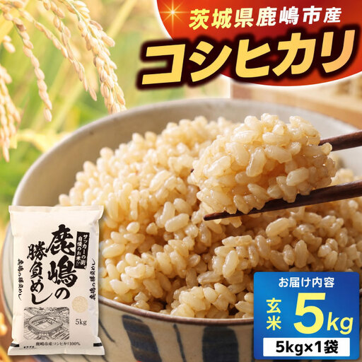 新米 こしひかり 玄米 5kg 新米 [令和8年産 先行予約限定]
