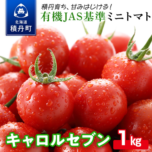 先行受付[100%有機肥料使用]積丹産ミニトマト「キャロル7」たっぷり1kg