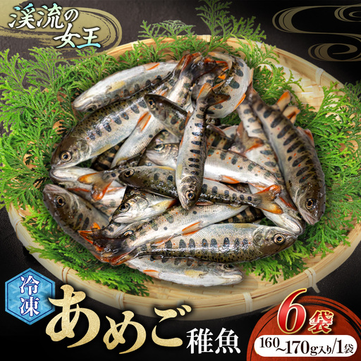 【無投薬 内臓処理済み】【希少稚魚】あめご（稚魚）100匹前後（約1kg） ／Eay-09 アメゴ 川魚