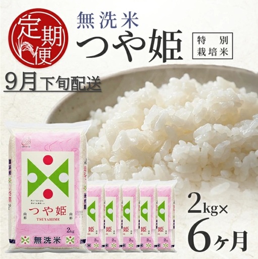 9月下旬発送開始/[6回定期便]無洗米 特別栽培米つや姫 2kg×6回(計12kg) TO