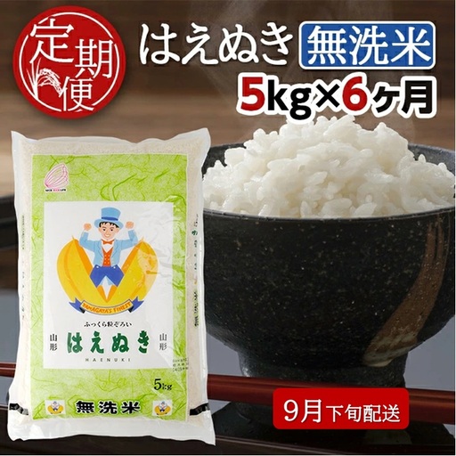 9月下旬発送開始/[6回定期便]無洗米 はえぬき 5kg×6回(計30kg) TO