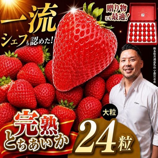 【栃木県共通返礼品】完熟とちあいか 極上大粒ギフト 1粒40g前後 贈答用24粒入