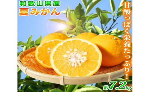 夏 みかん 7.2kg / みかん 甘い 柑橘  果物 和歌山 ※2027年4月中旬頃〜4月下旬頃発送予定 【uot775】