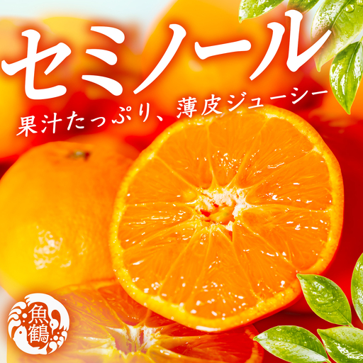 【先行予約】 セミノールオレンジ 約5kg ジューシー柑橘 和歌山県産