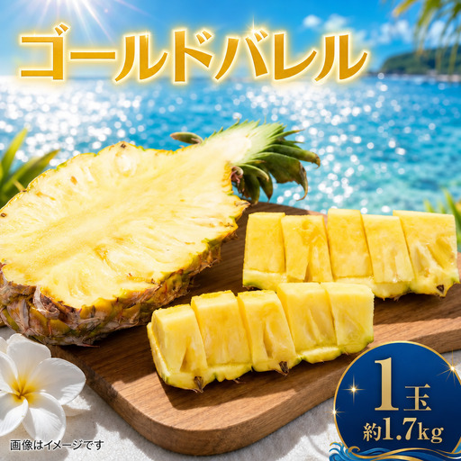 パイナップル ゴールドバレル 1玉 約1.7kg あいこ農園 