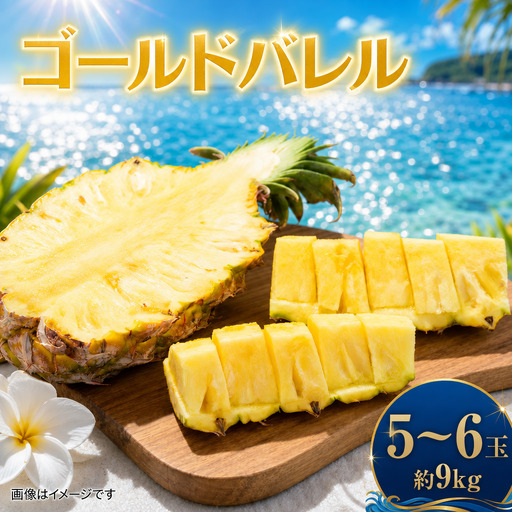パイナップル ゴールドバレル 5～6玉 約9kg あいこ農園 