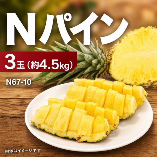 パイナップル Nパイン 3玉  約4.5kg ゆたかパイン農園　