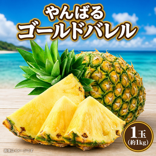 パイナップル やんばるゴールドバレル 1玉 約2㎏ しんざと果樹園