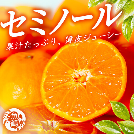 ［先行予約］ジューシー柑橘 セミノールオレンジ 5kg［UT149］