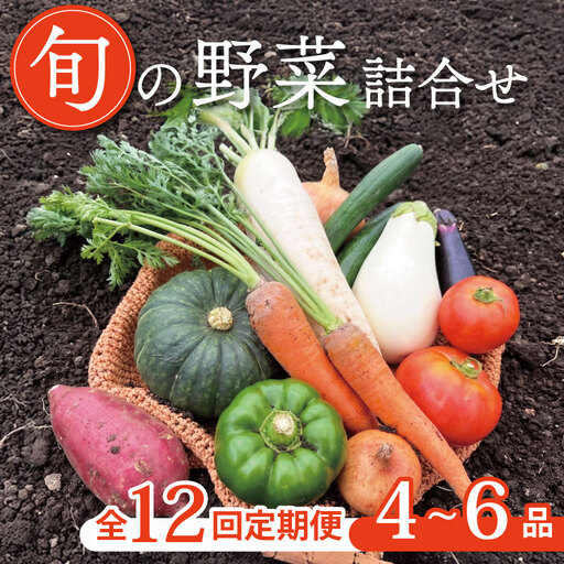 【定期便12回】京野菜セット 4~6種  定期便 レギュラーコース 野菜定期便