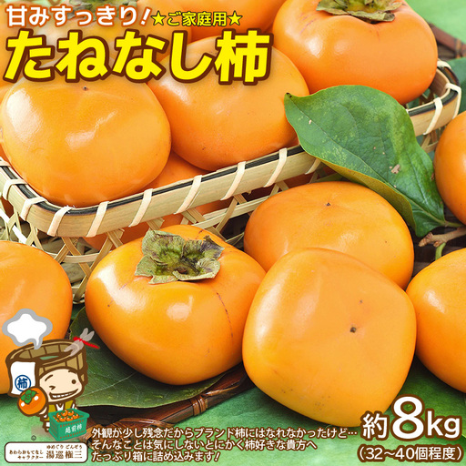 [先行予約][訳あり][2026年10月下旬〜11月中旬に発送] 甘みすっきり!あわらのたねなし柿 約8kg(32個〜40個)(ご家庭用)/ 果物 フルーツ 産地直送 期間限定 ※2026年10月下旬〜11月中旬に発送予定 [aw031-a004_10]
