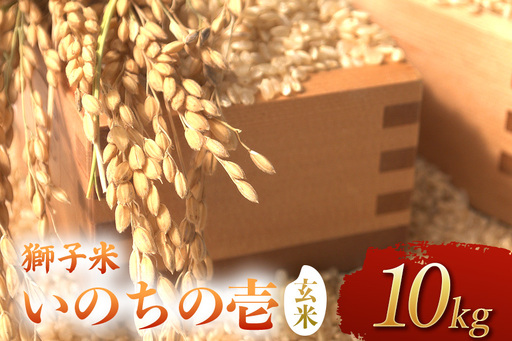 【令和8年産】獅子米　いのちの壱（玄米）10kg　B02-097
