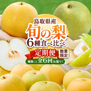 [先行予約] 梨王国2026 旬の梨 食べ比べ 全6回 定期便 合計約28kg(鳥取県産)梨 フルーツ 果物