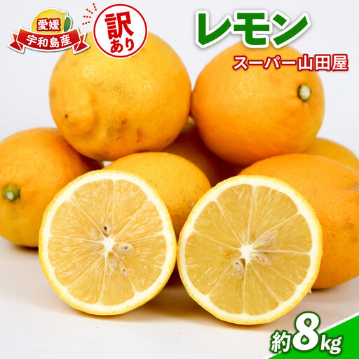 訳あり レモン 約 8kg スーパー山田屋 わけあり れもん 檸檬 レモン果汁 酸味 爽やか 果実 サワー ジュース チューハイ remon 果物 くだもの ビタミン フルーツ 柑橘 産地直送 数量限定 国産 愛媛 宇和島 B016-198012