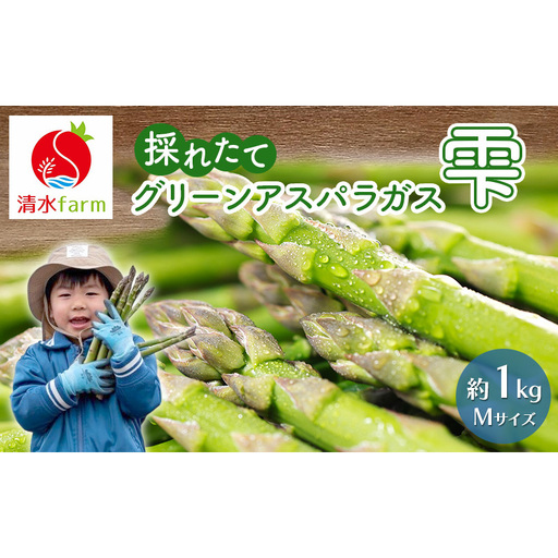 グリーンアスパラ 富良野産 雫 Mサイズ 清水farm アスパラ【約1kg】