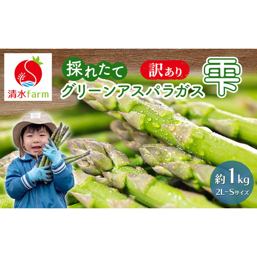 [2027年4月〜発送]訳あり 富良野産 採れたて直送! グリーンアスパラ 「雫」2L〜Sサイズ[約1kg] (清水farm) アスパラ アスパラガス 野菜 新鮮 季節限定 北海道 富良野 ふらの