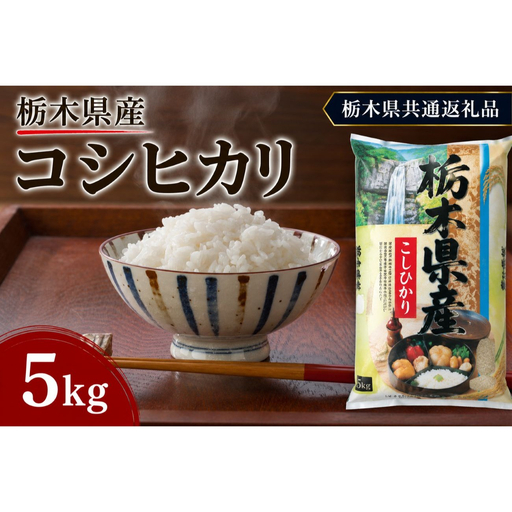 栃木県産 お米 白米 こしひかり 5kg | 栃木県 矢板市 栃木県共通返礼品 栃木県産