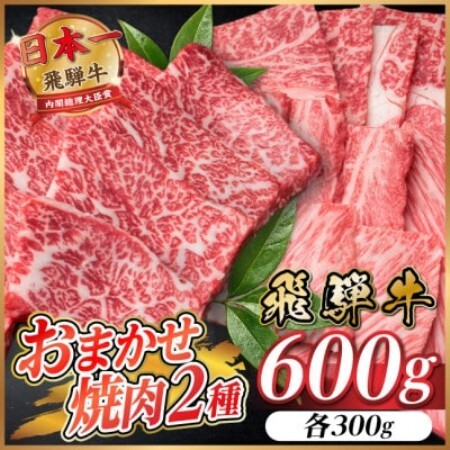 飛騨牛　おまかせ焼肉2種セット約600g(各約300g)訳あり　BBQ　上カルビ・ロースなど【配送不可地域：離島】【1738939】