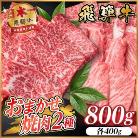 飛騨牛　おまかせ焼肉2種セット約800g(各約400g) 訳あり　BBQ　上カルビ・ロースなど【配送不可地域：離島】【1738976】