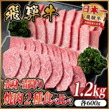 飛騨牛　赤身・霜降り焼肉2種食べ比べセット(ヒレ・三角バラカルビ)計1.2kg(各600g)タレ付き【配送不可地域：離島】【1746241】