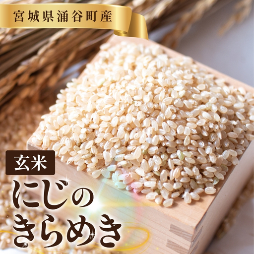 【先行予約】にじのきらめき　玄米　10kg 【2027年1月発送】【iriuda023】