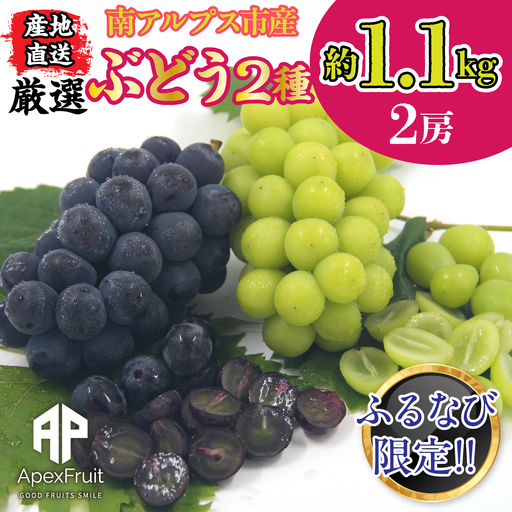 [ふるなび限定][先行予約]厳選!南アルプス市産 ぶどう2種詰合せ 2房 約1.1kg ALPDD029-FN-Limited
