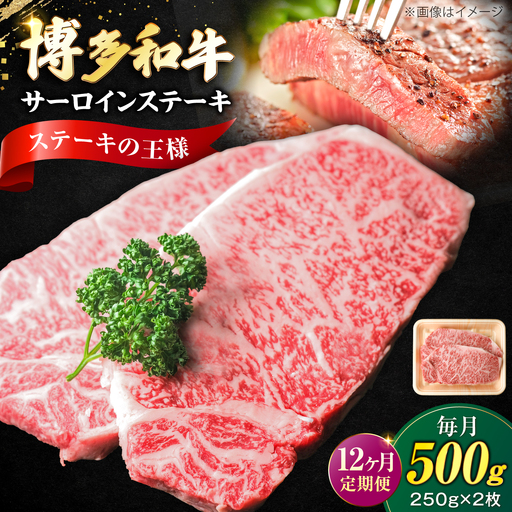 【全12回定期便】大満足！ 博多和牛 牛肉 サーロイン ステーキ 500g（250g×2）[VFD076]