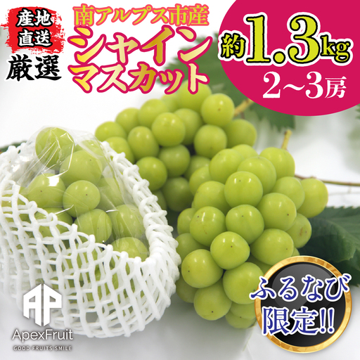 [ふるなび限定][先行予約]厳選!南アルプス市産 シャインマスカット 約1.3kg(2〜3房) ALPDD030-FN-Limited