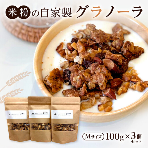 米粉の自家製グラノーラ【Mサイズ100g×3個セット】