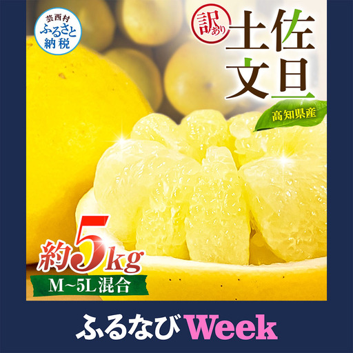 [ふるなびWEEK対象]先行予約 訳あり 土佐文旦 家庭用 約5kg 約8〜15玉 M〜5L混合サイズ 高知県産 FN-Limited-WE