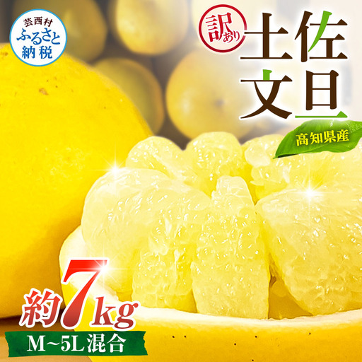 先行予約 訳あり 土佐文旦 家庭用 約7kg 約10～22玉 M～5L混合サイズ 高知県産