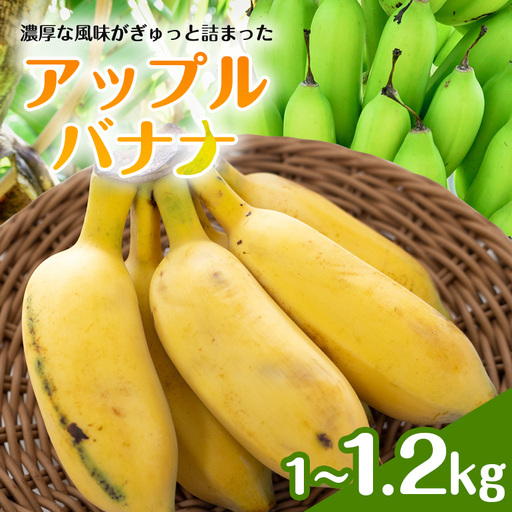 アップルバナナ1～1.2kg 194-5