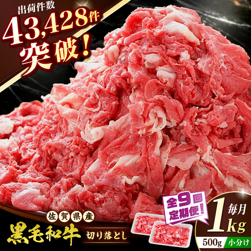 【全9回定期便】 佐賀産和牛 切り落とし 1kg（500g×2P） 吉野ヶ里町/石丸食肉産業[FBX054]