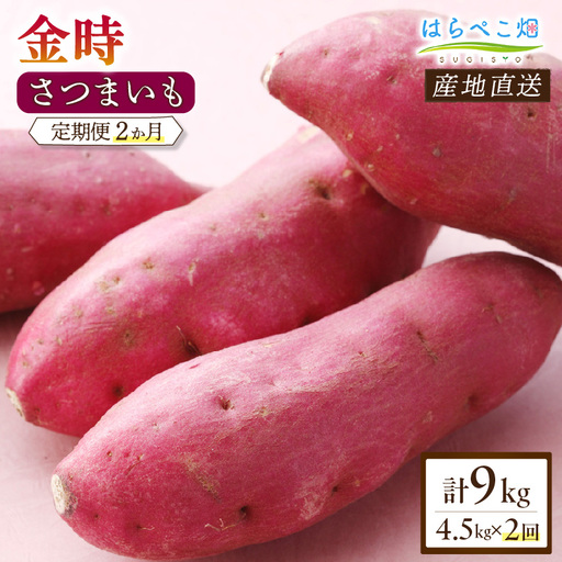 【定期便2ヶ月】さつまいも 金時 4.5kg・H130