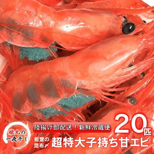 [ 2026年9月~10月発送 ] 子持ち甘エビ20匹丸ごと昆布〆 甘エビ